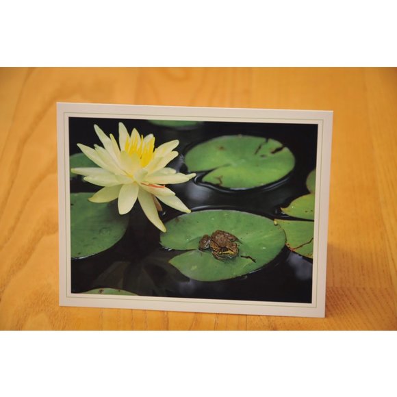 Fine Art Photography Note Cards - set of 4 - Picture 3 of 5
